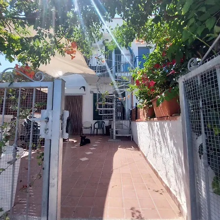Beach House 